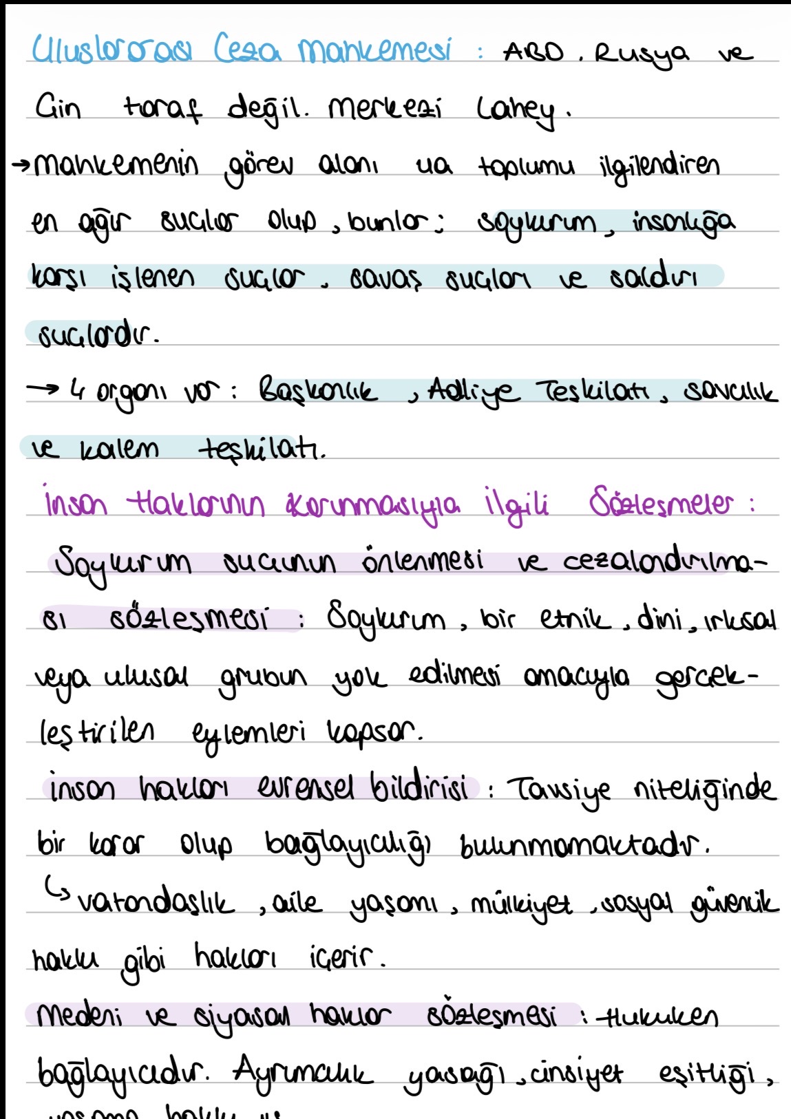İNSAN HAKLARİ HUKUKU VİZE NOTU                                                                                                                                                                                                                            
